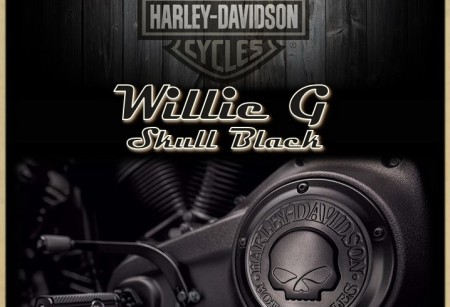 1.08 Коллекция Willie G Skull Black для Softail