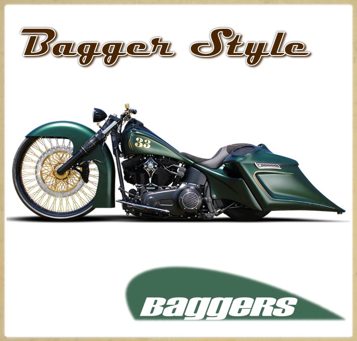 Для проектов BAGGER