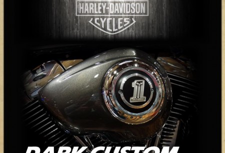 3.08 Коллекция Dark Custom для Dyna 3.08 Коллекция Dark Custom для Dyna