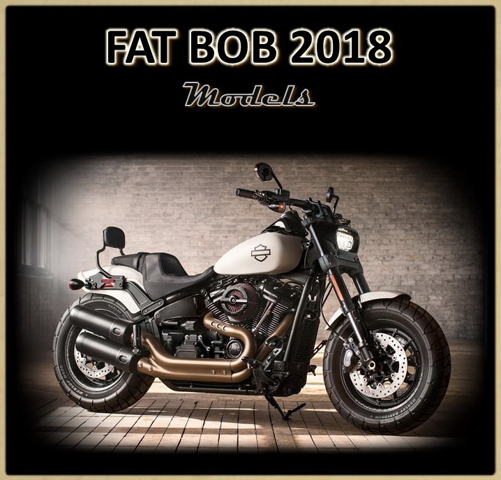 Для моделей FAT BOB 2018