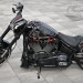 FXDR_005.jpg
