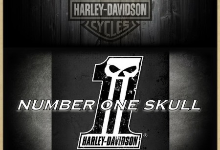 4.03 Коллекция Number One Skull для Touring 4.03 Коллекция Number One Skull для Touring