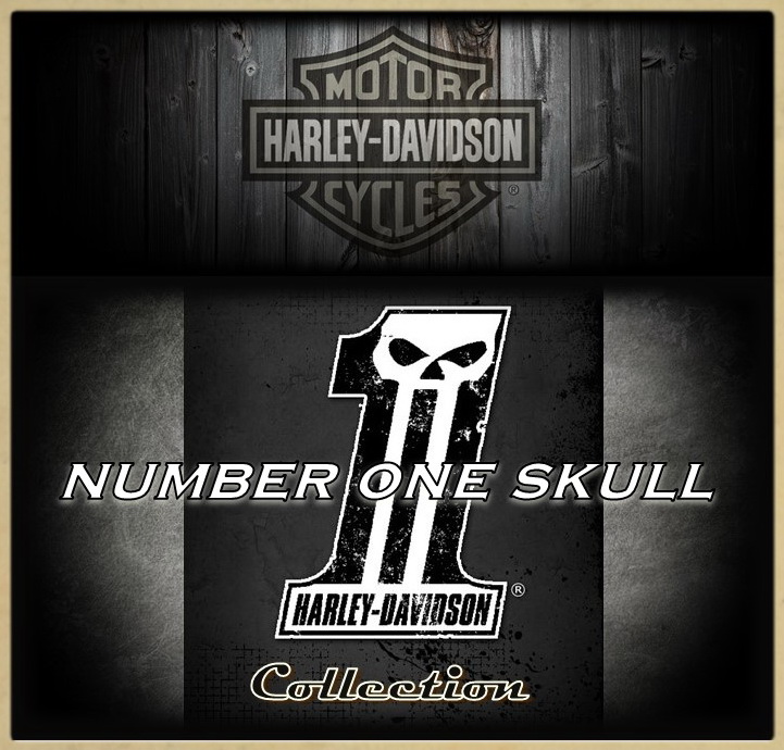 4.03 Коллекция Number One Skull для Touring
