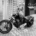Rocker-BW-01.jpg