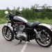 Sportster_883Low_04.JPG