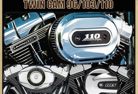 Успокоители цепи ГРМ для TWIN CAM 96/103/110