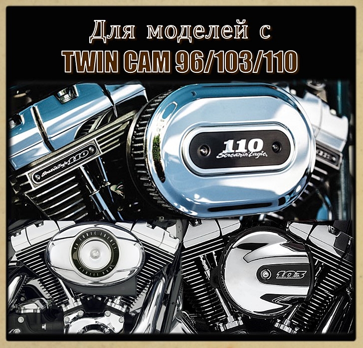 Успокоители цепи ГРМ для TWIN CAM 96/103/110