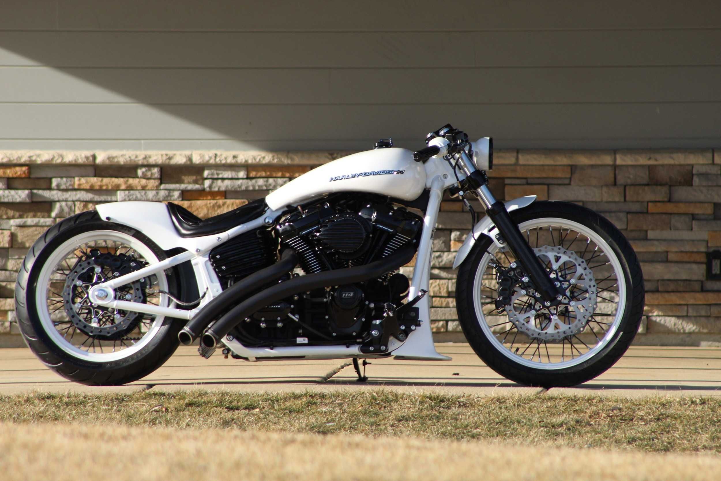 WHITE RAVEN