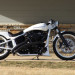 WHITE_RAVEN_01.jpg