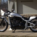 WHITE_RAVEN_02.jpg