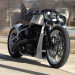 WHITE_RAVEN_03.jpg