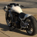WHITE_RAVEN_04.jpg