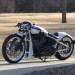 WHITE_RAVEN_05.jpg