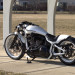 WHITE_RAVEN_06.jpg
