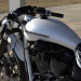 WHITE_RAVEN_07.jpg