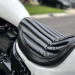 WHITE_RAVEN_09.jpg