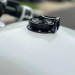 WHITE_RAVEN_10.jpg