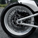 WHITE_RAVEN_11.jpg