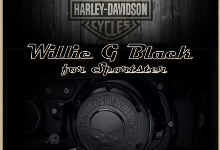 2.07 Коллекция Willie-G Black для HD Sportster