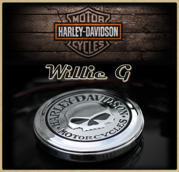 4.04 Коллекция Willie G для Touring