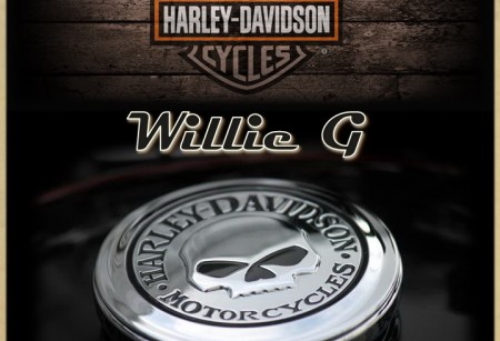 4.04 Коллекция Willie G для Touring 4.04 Коллекция Willie G для Touring