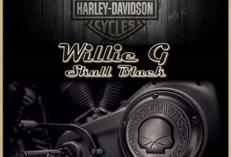 3.09 Коллекция Willie G Skull Black для Dyna 3.09 Коллекция Willie G Skull Black для Dyna