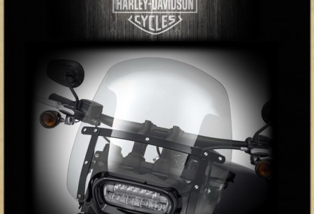 Ветровые стёкла для FAT BOB 2018 Ветровые стёкла для FAT BOB 2018