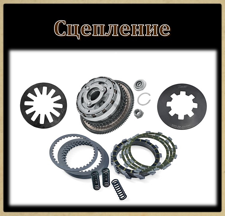 Сцепление
