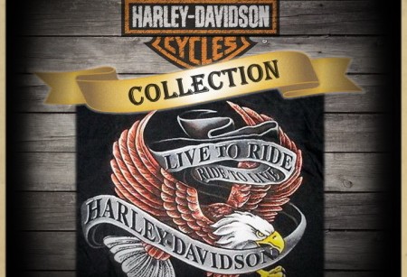 4.08 Коллекция Live to Ride Gold для Touring 4.08 Коллекция Live to Ride Gold для Touring