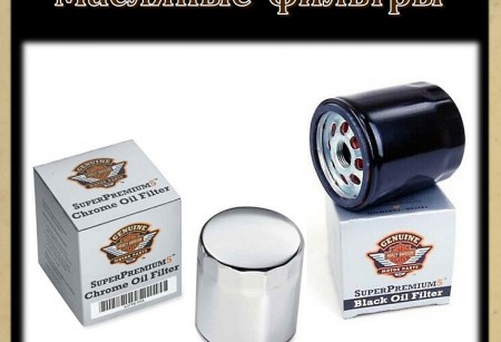 2 Масляные фильтры 2 Масляные фильтры